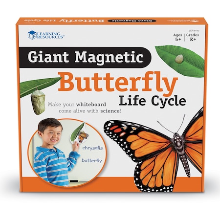 Learning Resources Giant Magnetic Butterfly Life Cycle, Set of 9 Figurines LER6043